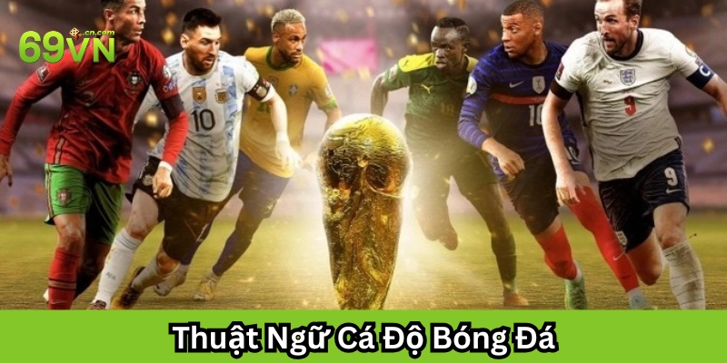 Thuật Ngữ Cá Độ Bóng Đá: Giải Mã Từ A-Z Cho Người Chơi